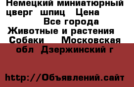 Немецкий миниатюрный(цверг) шпиц › Цена ­ 50 000 - Все города Животные и растения » Собаки   . Московская обл.,Дзержинский г.